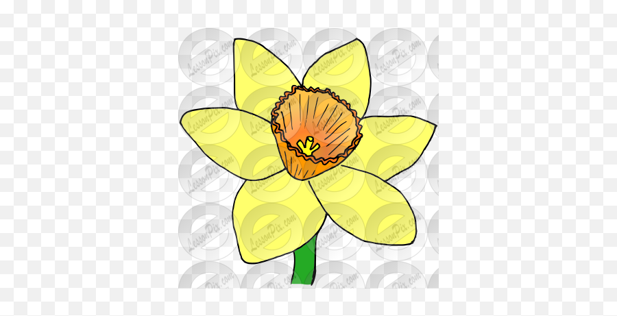 Daffodil Picture For Classroom - Floral Emoji,Daffodil Clipart