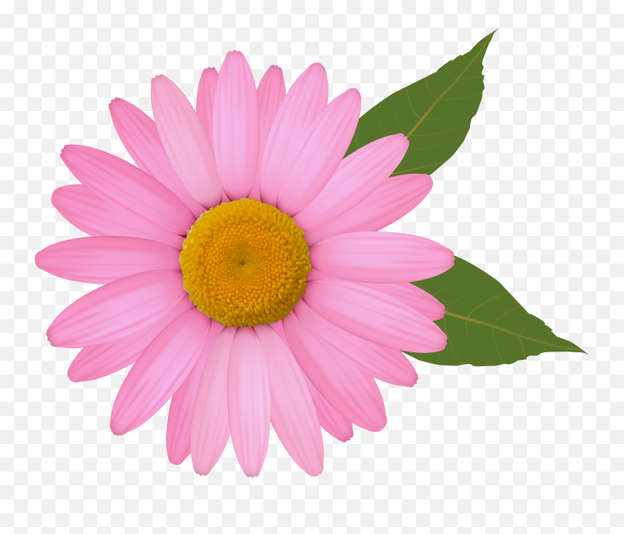Daisy Clip Art - Pink Daisy Clipart Emoji,Daisy Clipart