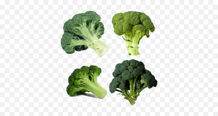 Vegetables Transparent Png Images - Broccoli Transparent Background Emoji,Veggies Png