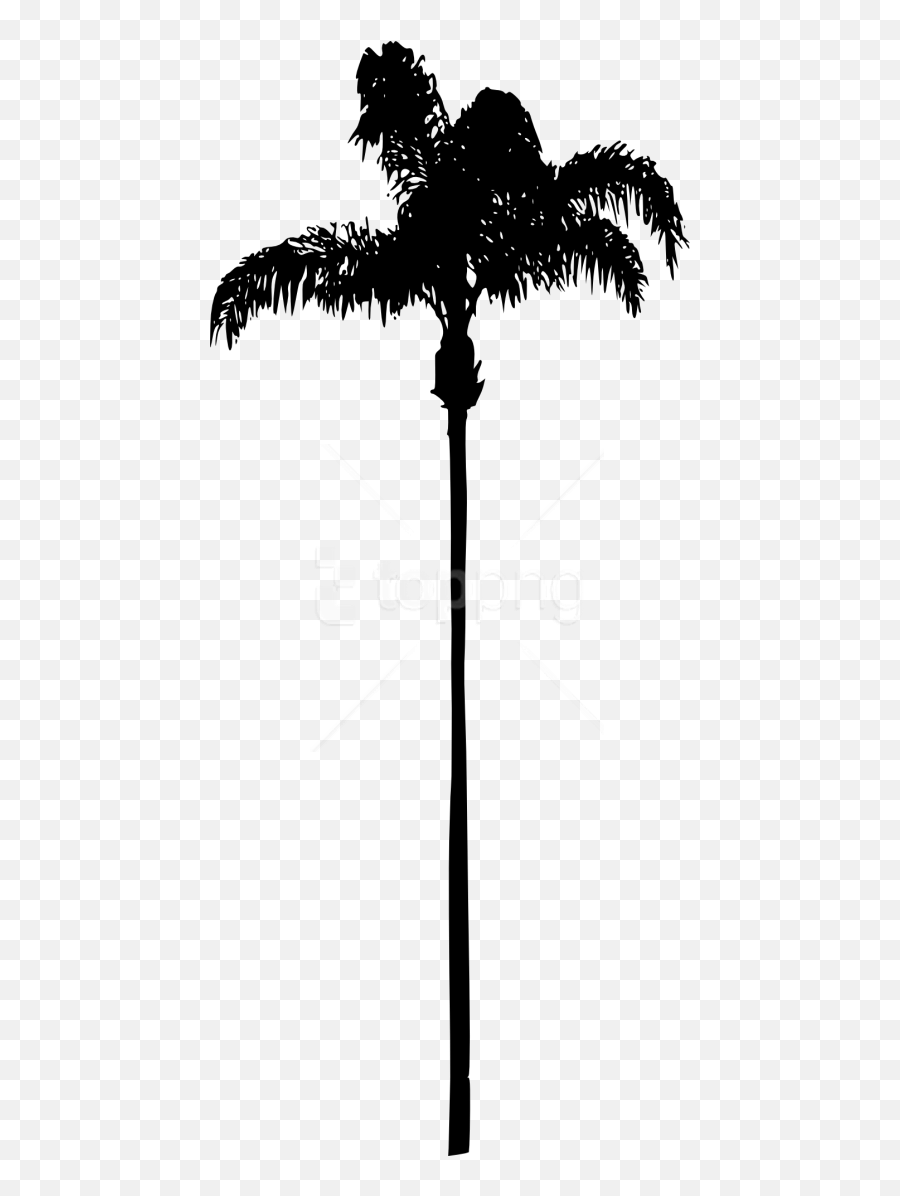 White Palm Tree - Transparent Background Palm Tree Palm Trees Emoji,Trees Silhouette Png