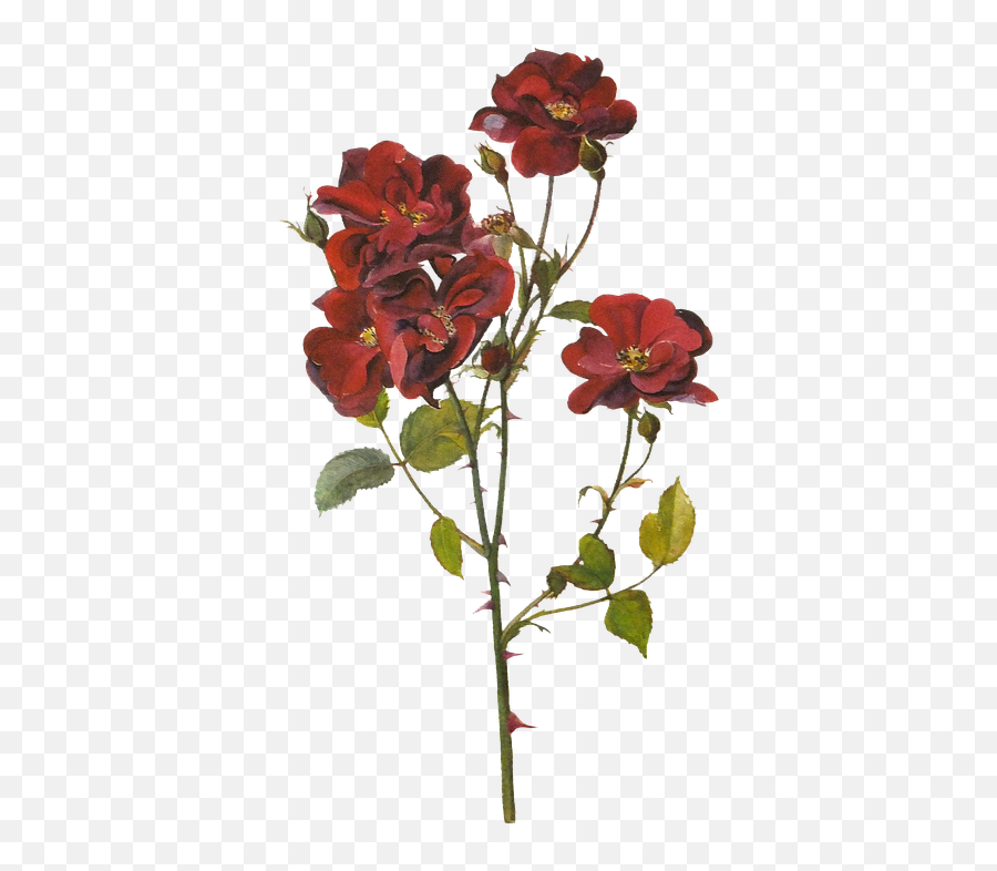 Flowers Red Roses Painting Flower Emoji,Painted Flowers Png