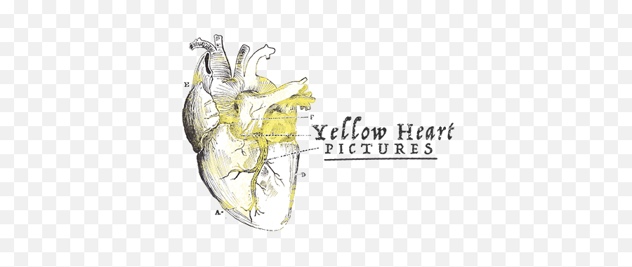 Yellow Heart Pictures Emoji,Yellow Heart Png