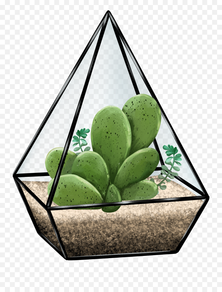 Succulent Terrarium Illustration Succulent Design Cactus - Vertical Emoji,Cactus Clipart