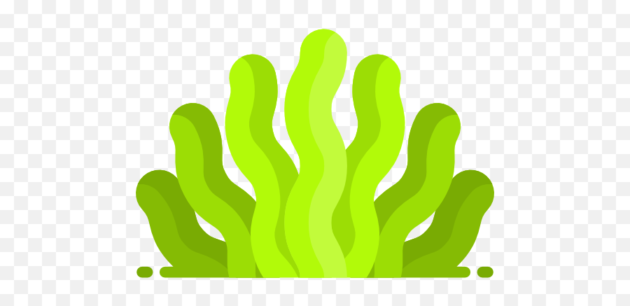 Seaweed Clipart Png - Deniz Yosunu Yosun Çizimi Emoji,Seaweed Clipart