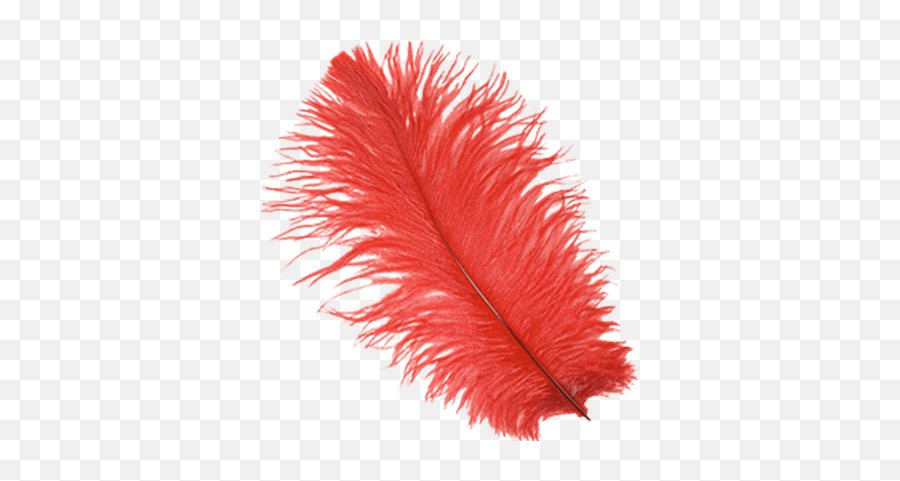 Download Feather Transparent Background - Red Feather Transparent Png Emoji,Feather Transparent Background