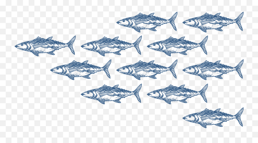 School Of Fishes - Fish Products Emoji,School Of Fish Png