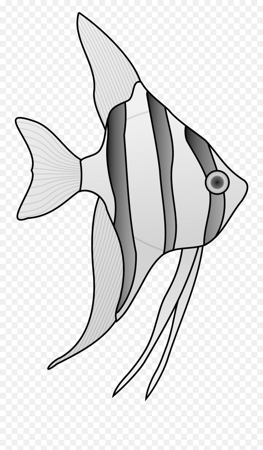 White Angel Fish - Angel Fish Clipart Emoji,Fish Clipart Black And White