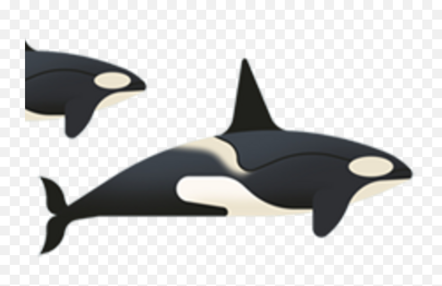 The Whales Of Antarctica Magazine Articles Wwf Emoji,Orca Whale Clipart
