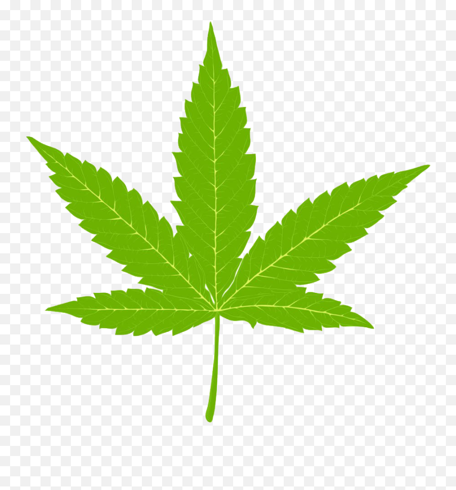 Marijuana Clipart Hemp Marijuana Hemp Transparent Free For - Marijuanas Clip Art Emoji,Weed Leaf Png