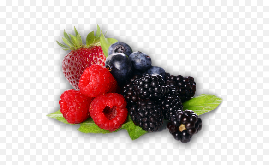 Download Free Berries Clipart Icon Favicon Freepngimg - Berries Clipart Emoji,Blueberry Clipart