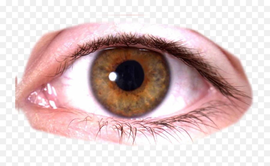 Eyes Png Pic - Human Eye Transparent Background Emoji,Eye Png