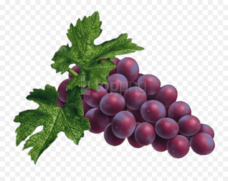 Free Png Red Grapes Png Png - Purple Grapes Transparent Png Emoji,Grapes Png