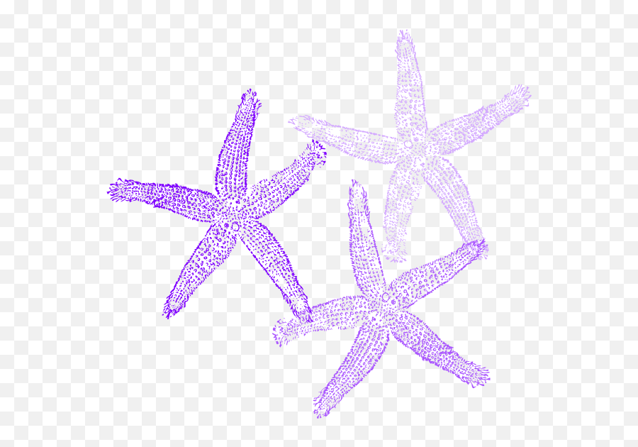 Coral Starfish Clip Art At Clkercom - Vector Clip Art Fish Clip Art Emoji,Starfish Clipart