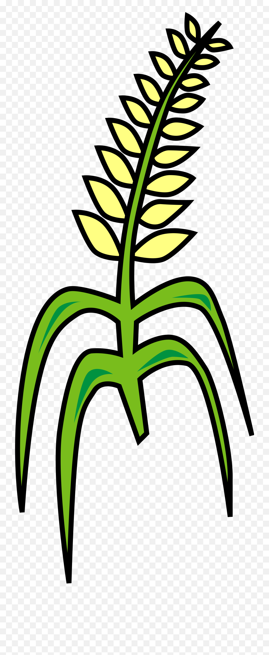 Grain Clipart Transparent Png Image - Lukisan Biji Bijian Warna Hijau Emoji,Grain Clipart