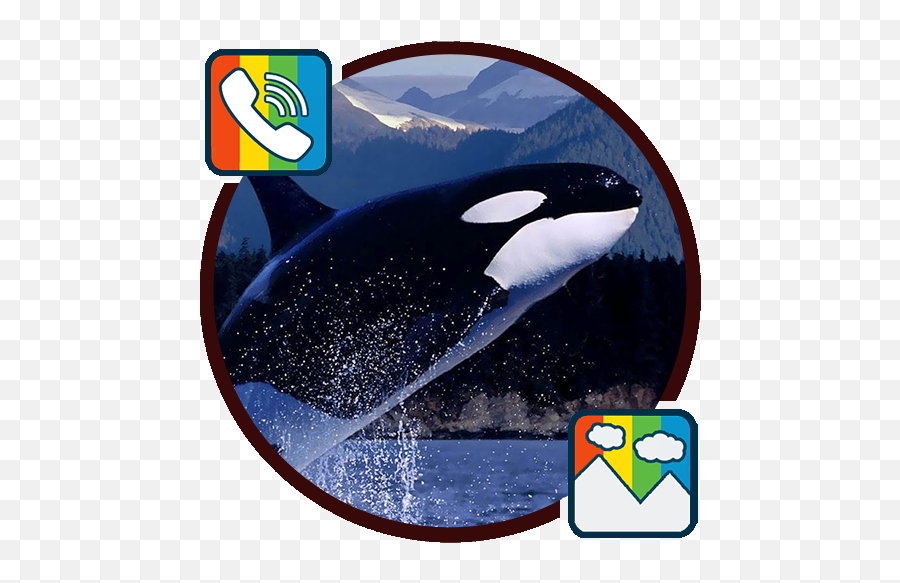 Killer Whale - Ringtones And Wallpapers U2013 Apps On Google Play Emoji,Orca Whale Clipart