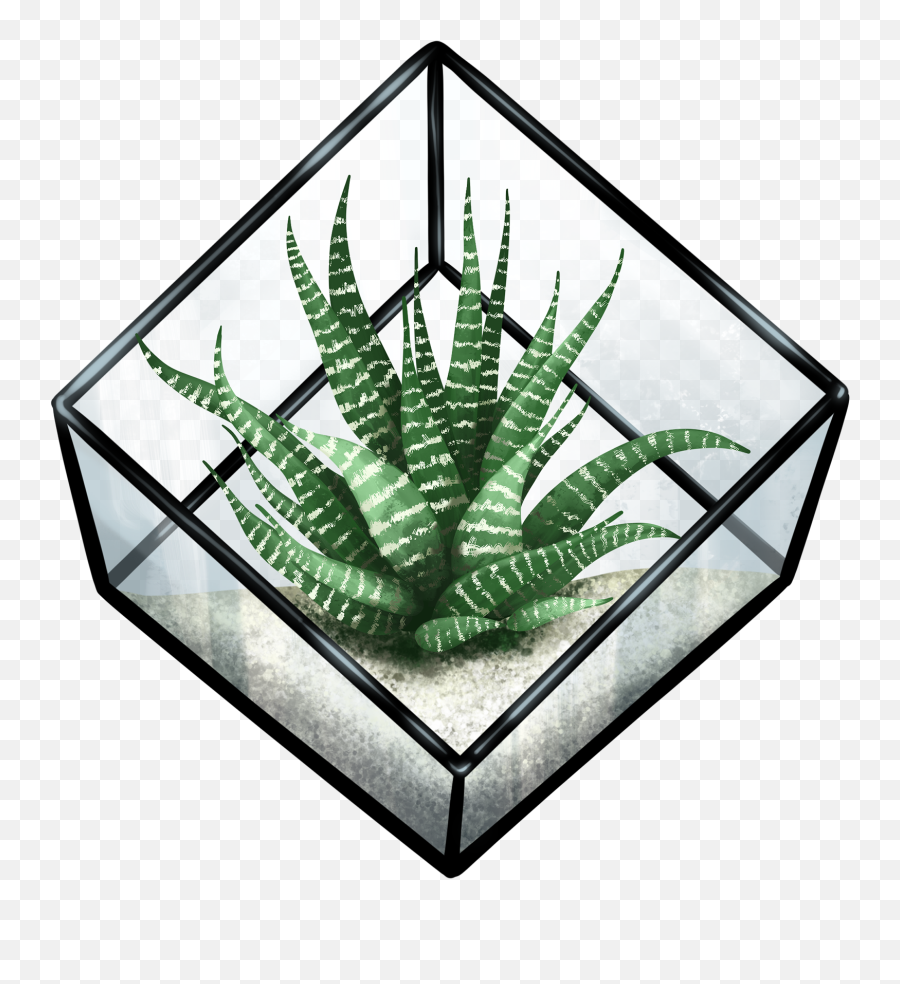 Succulent Terrarium Illustration - Vertical Emoji,Succulent Clipart