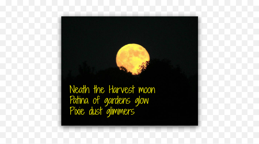 Neath The Harvest Moon On Dragonfly Wings With Buttercup Tea Emoji,Harvest Moon Png
