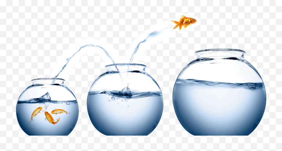 Fish Jumping - Fish Jumping Out Of Bowl Emoji,Fish Bowl Clipart