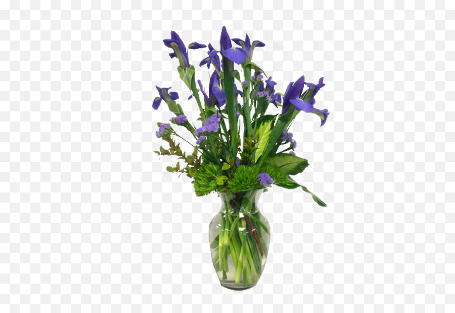 Intriguing Iris Emoji,Iris Flower Png