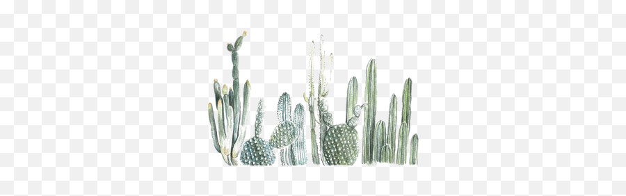 Cactus Png Images Emoji,Cacti Png