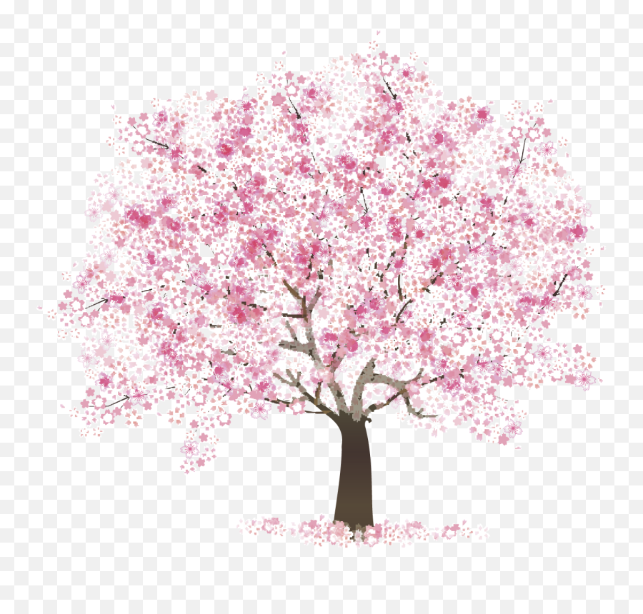 Need For Childcare Located In Nerepiswelsford Area New Emoji,Cherry Blossom Tree Clipart