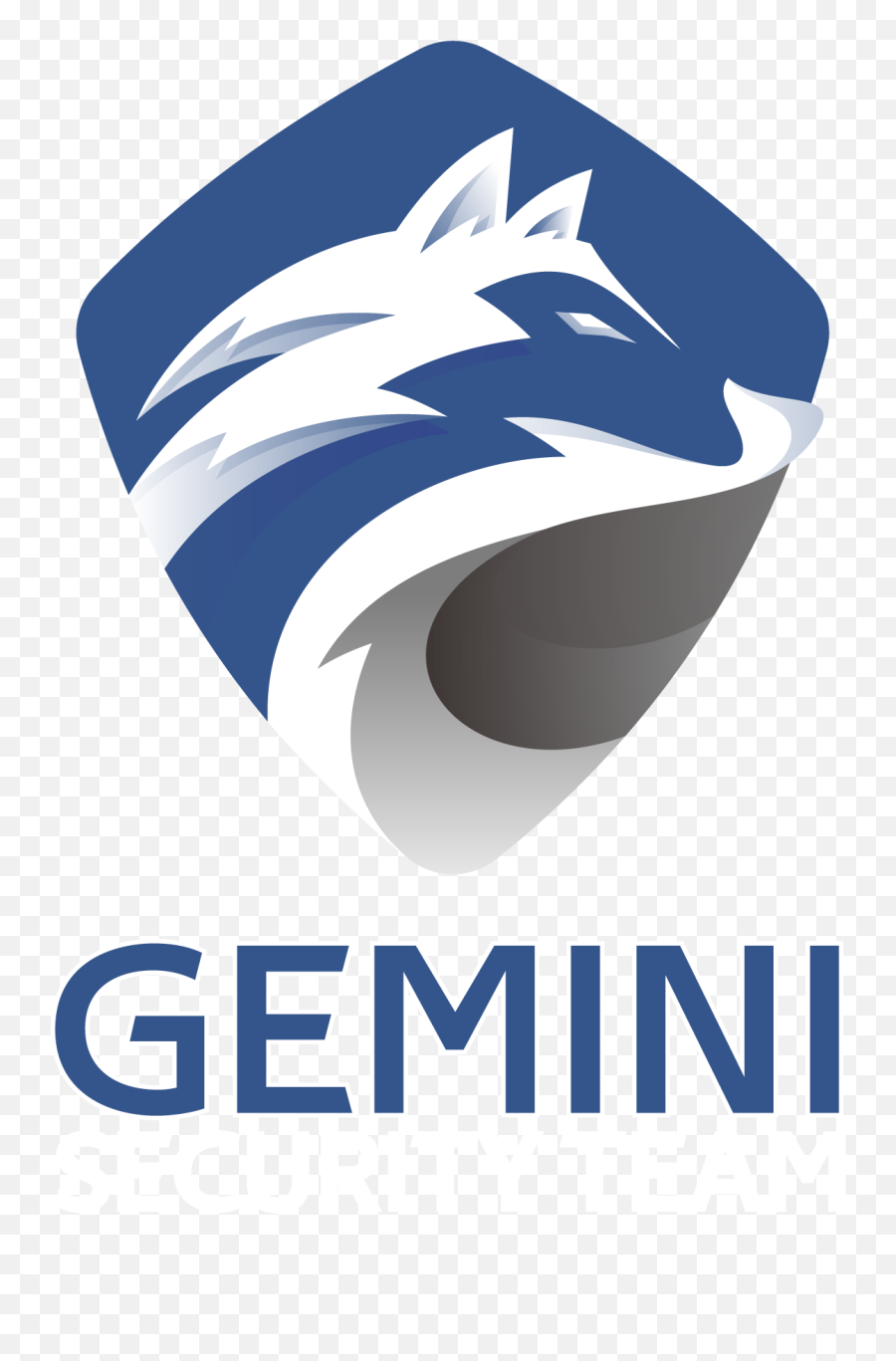Home - Gemini Security Team Gemini Africa Emoji,Gemini Logo