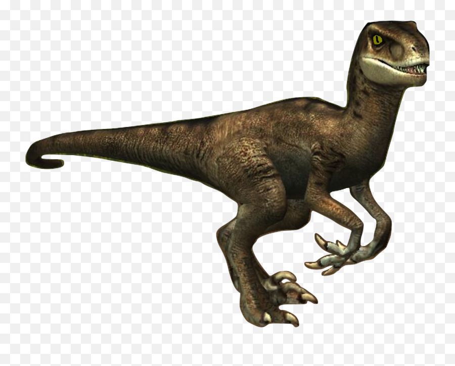 Velociraptor Png Image With No - Velociraptor Pictures With No Background Emoji,Velociraptor Png