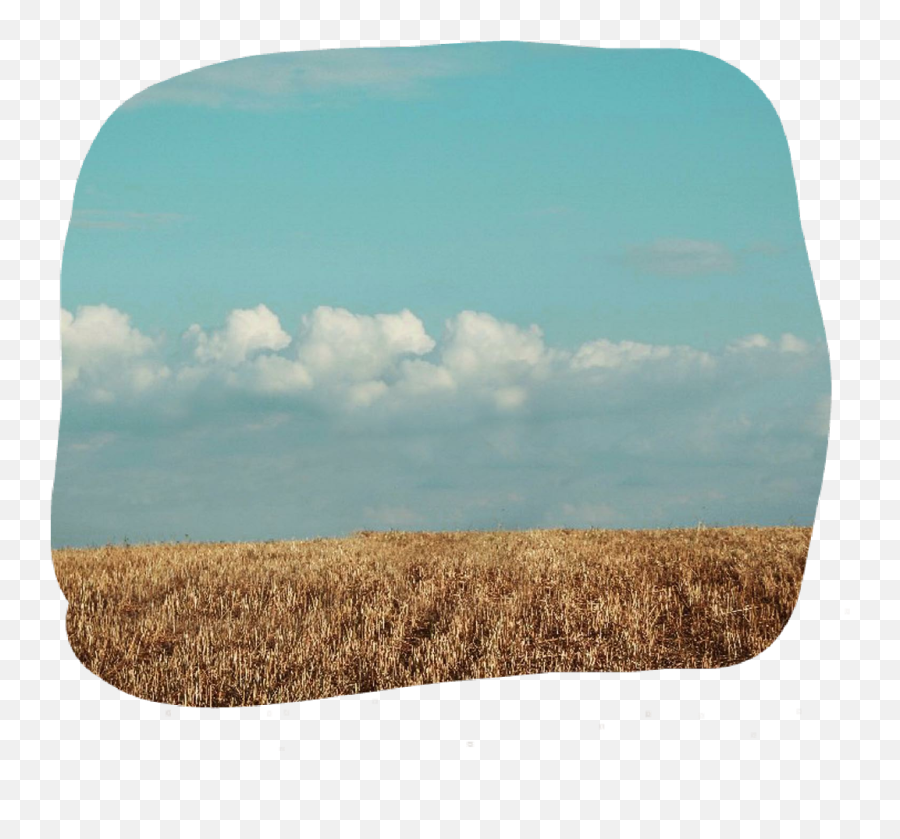 Dry Grass Png - Dailyremix Field Blue Sky Day Drygrass Land Steppe Emoji,Field Day Clipart