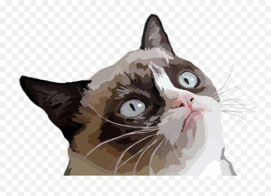 Grumpy Cat Vector Illustration Emoji,Grumpy Cat Clipart