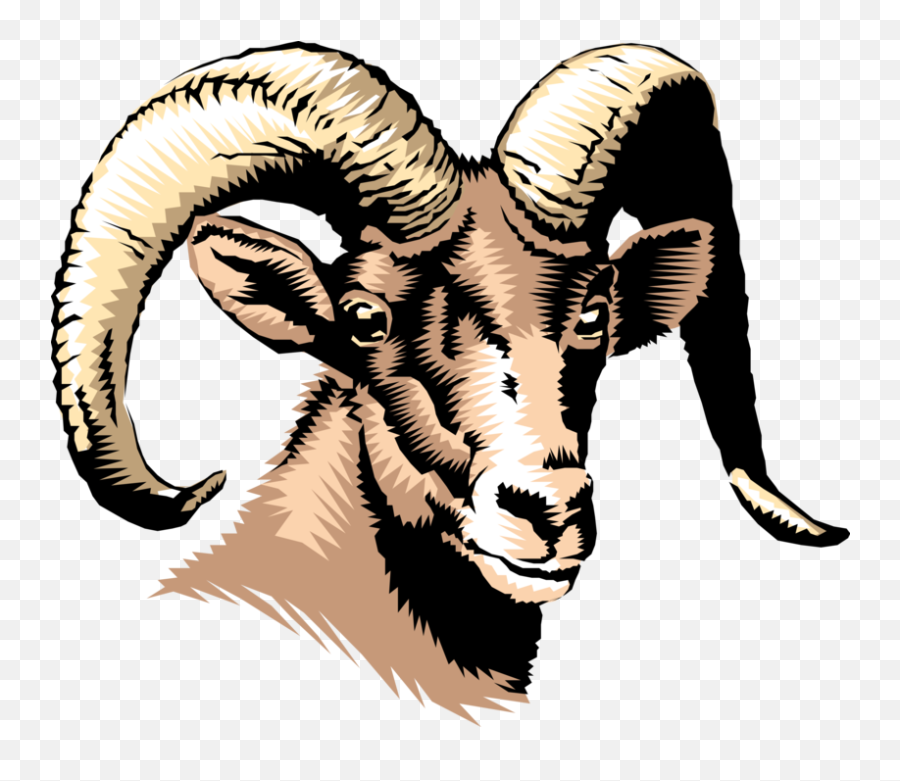 Horns Vector Ram Horn Clipart - Full Size Clipart 2784701 Emoji,Goat Horns Png