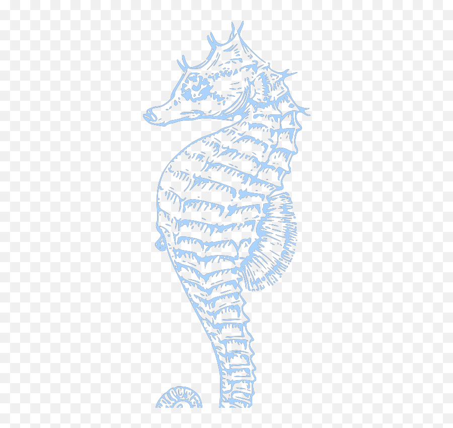 Seahorse Svg Clip Arts Download - Download Clip Art Png Decorative Emoji,Seahorse Clipart