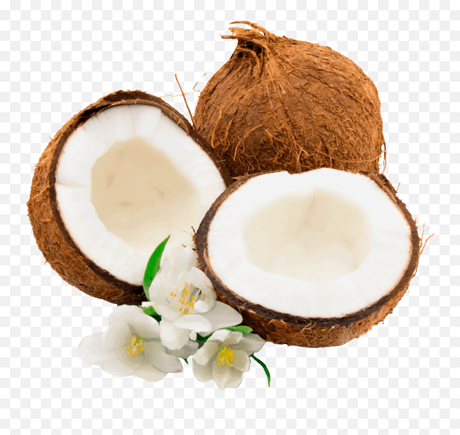 Coconut Water Juice Milk - Coconut Emoji,Coconut Png