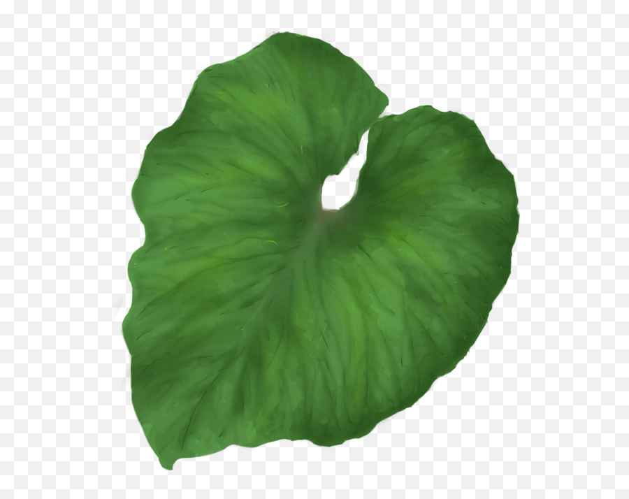 Green Leaves Png Image With Transparent - Taro Leaf Clipart Hd Emoji,Green Leaves Png