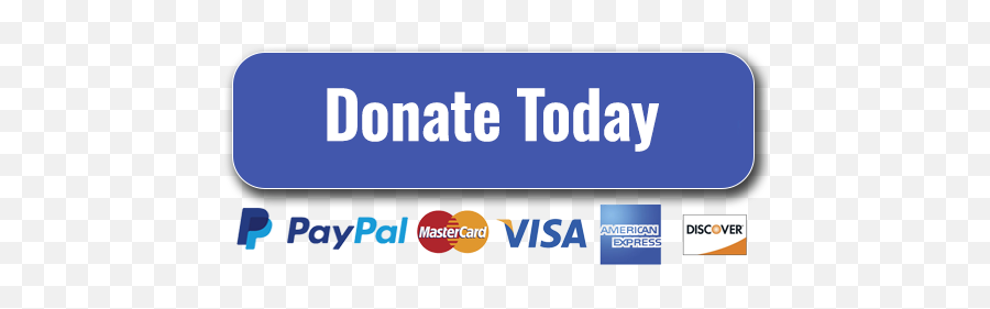 Paypal Donation Button Finished U2013 Faith Safety Network Emoji,Donation Button Png