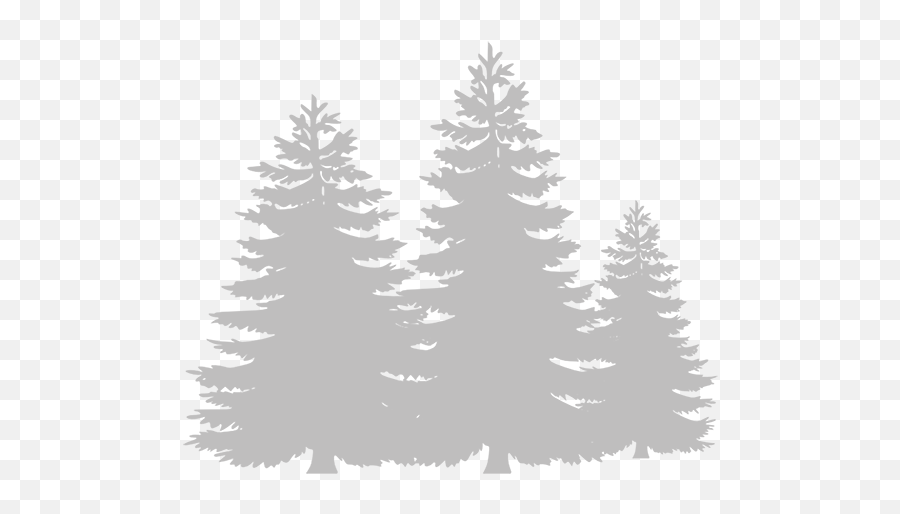 Waterfall - In The Woods Events Emoji,Evergreen Tree Clipart