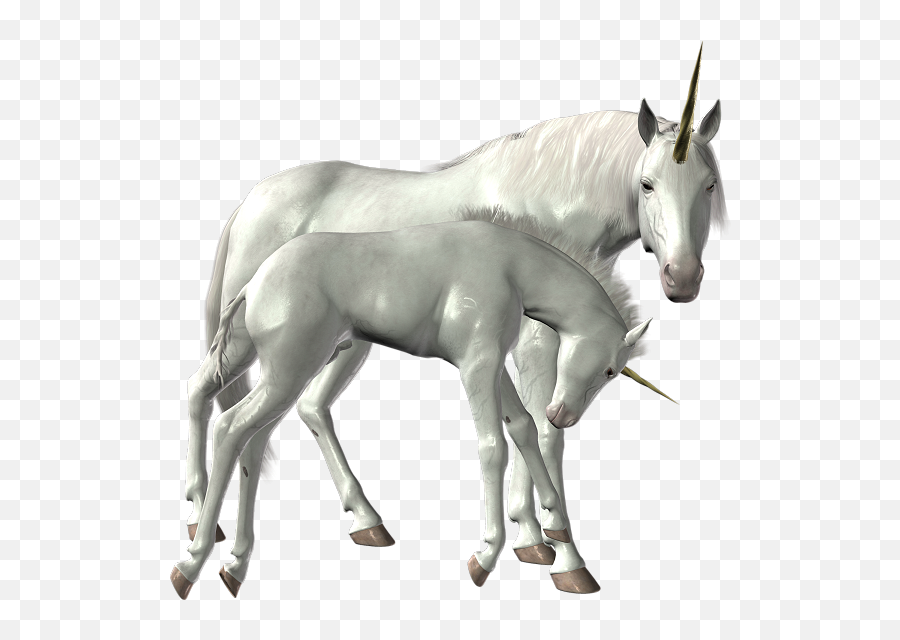 Unicorn Png Images Transparent Background Png Play - Real Unicorns Png Emoji,Unicorn Transparent Background