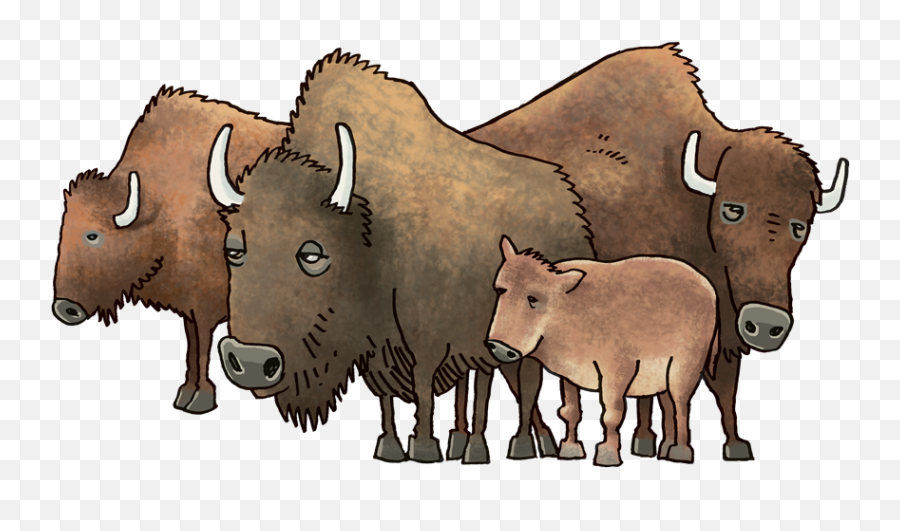Giddyup Junction Vbs 2019 Free Resources U0026 Downloads - Herd Of Buffaloes Clipart Emoji,Lifeway Vbs 2019 Clipart