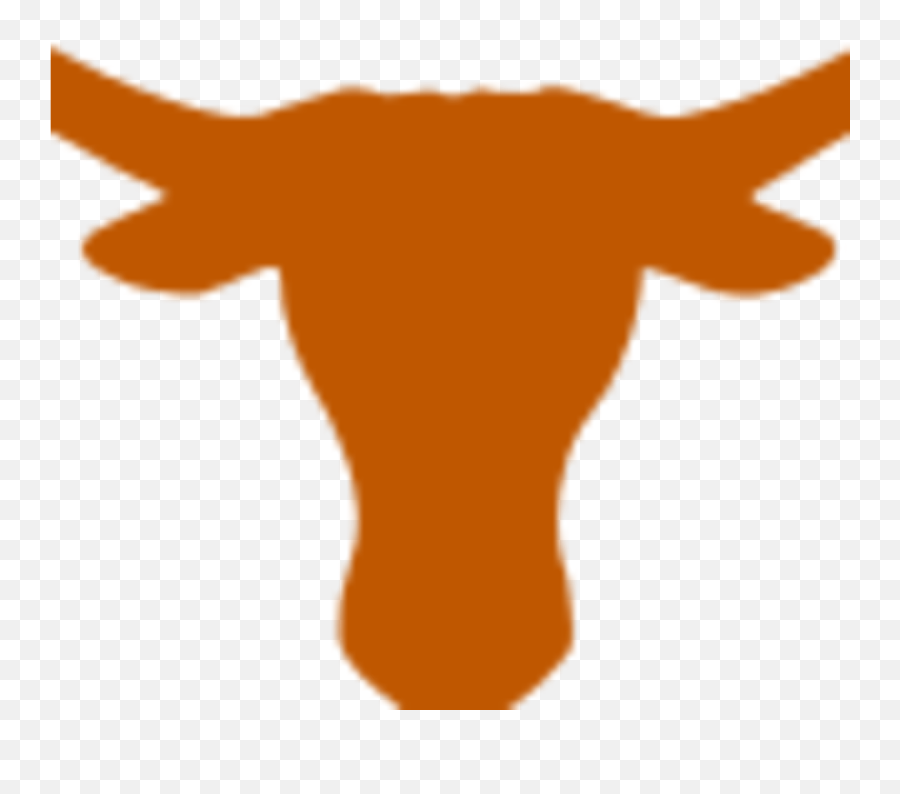 Background Image William Warrens Profile Picture - Texas Longhorns Emoji,University Of Texas Logo