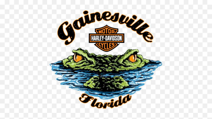 North Floridau0027s 1 Harley Dealer Gainesville Harley - Gainesville Florida Harley Davidson Emoji,Harley Logo