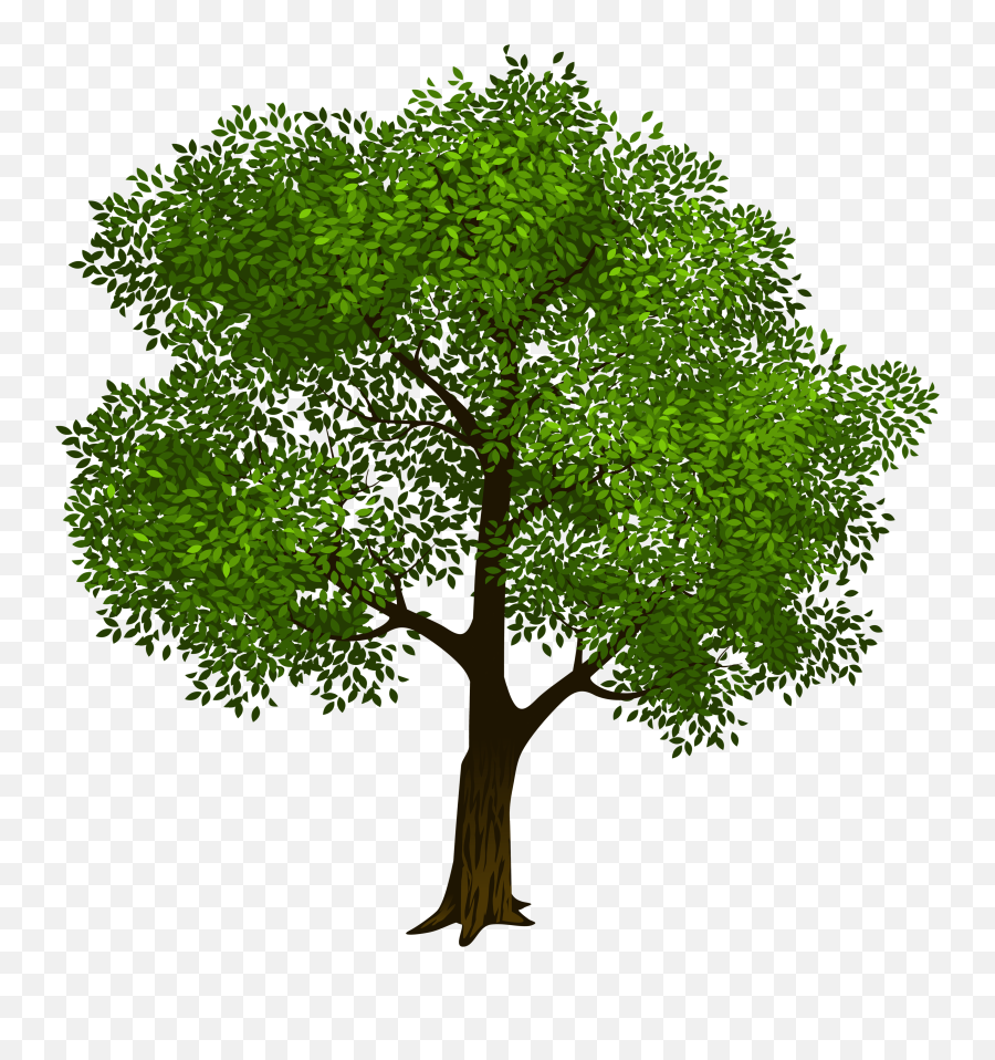 Tree Png Images Transparent Background - Tree Clipart Transparent Emoji,Tree Png