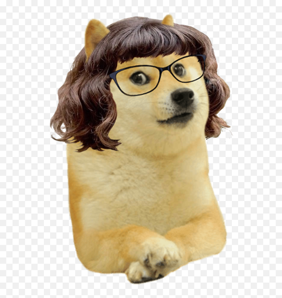 Le Female Coffee Shop Patron Has Arrived Rdogelore - Female Doge Meme Png Emoji,Meme Glasses Png