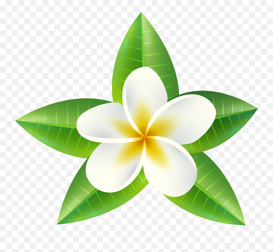 Tropical Flower Png Clip Art Imageu200b Emoji,Flowers Png