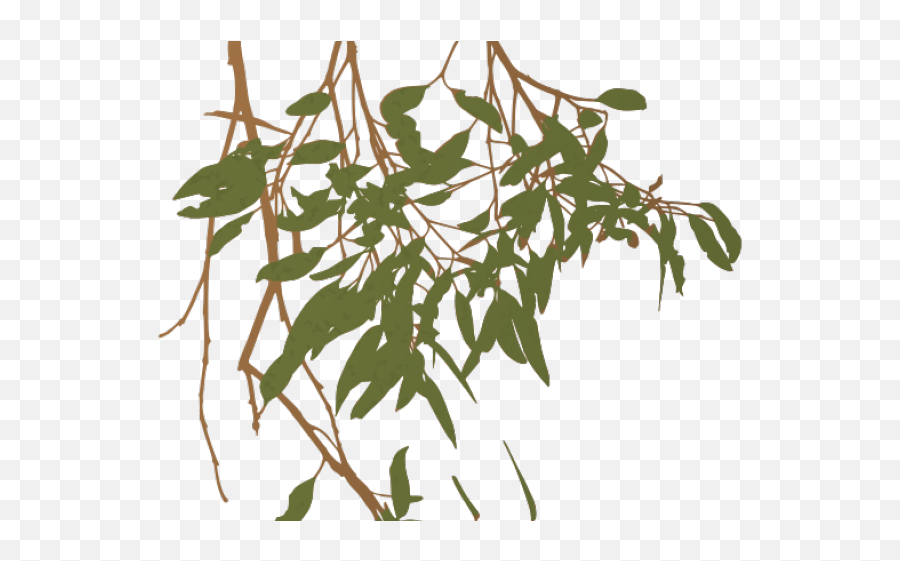 Gum Tree Branch Clip Art Png Image With Emoji,Eucalyptus Clipart