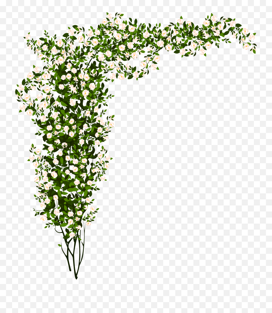 White Flower Bush Png Transparent Png - White Roses Bush Png Emoji,Bush Clipart