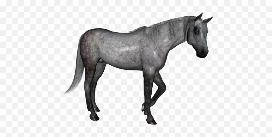 Dapple Grey Horse Png Official Psds - Dapple Grey Horse Png Emoji,Horse Transparent