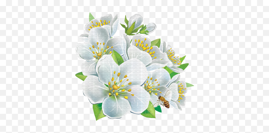 Flowers - Hd Clipart White Flowers Png Full Size Png Emoji,Summer Flowers Clipart