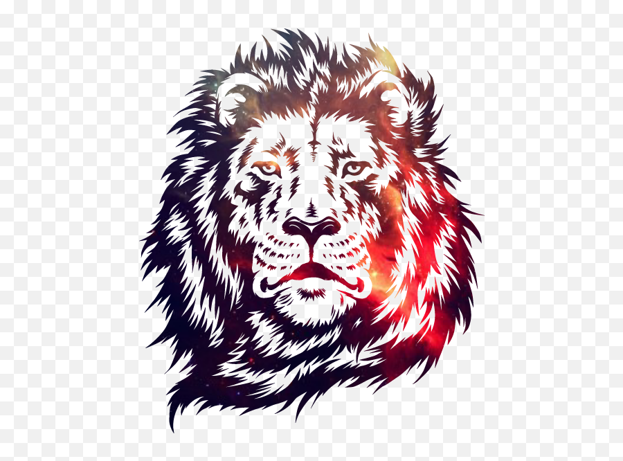 Galaxy Lion Randomstupidity - Illustrations Art Street Emoji,Lion Face Logo