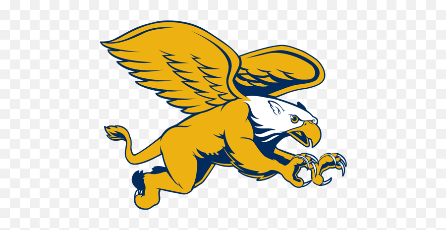 2018 Fau Spring Championship Participating Teams - Florida Canisius Golden Griffins Emoji,Fau Logo