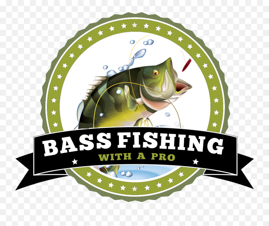 Bass Fishing - Bass Transparent Cartoon Jingfm Pro Fisherman Clipart Emoji,Bass Fish Clipart