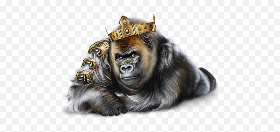 Gorilla - Gorilla Hd Png Emoji,Gorilla Png